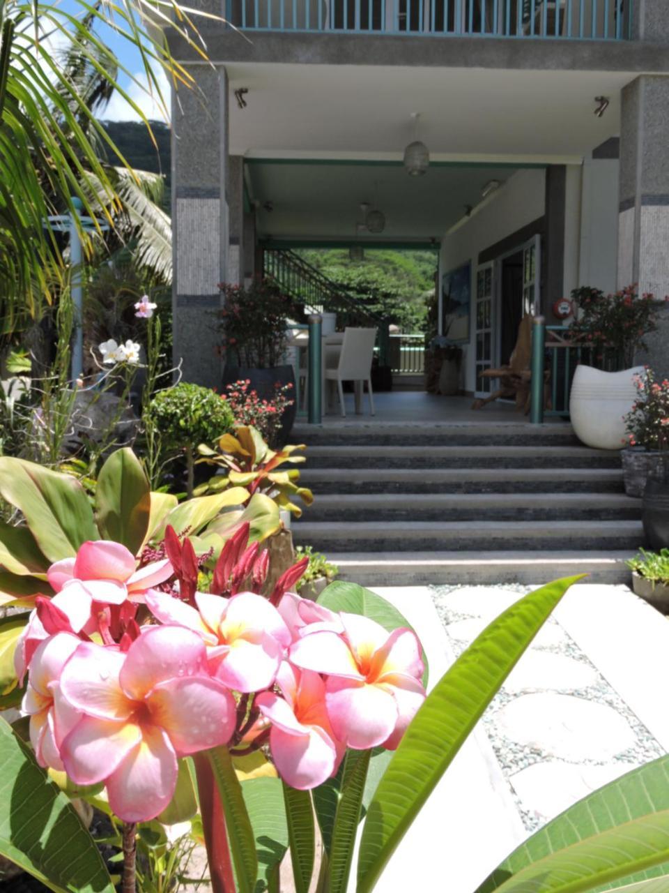 Villa Charme De L'Ile 라디게 외부 사진